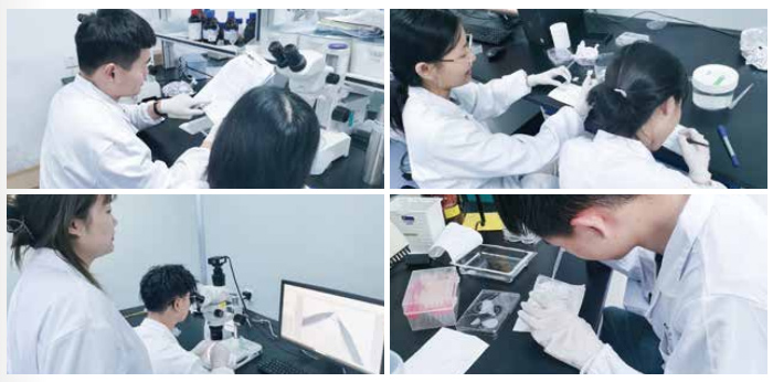 斑马鱼实验室技术培训